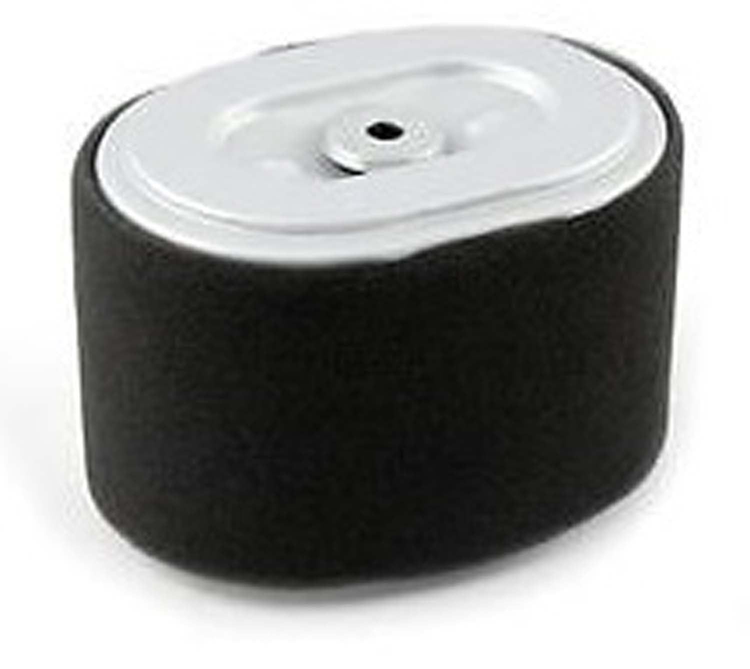 AIR FILTER ASSEMBLY, GPE 5.5-6.5HP