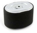 AIR FILTER ASSEMBLY, GPE 5.5-6.5HP