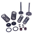 VALVE KIT, Horizontal 125cc (Oversized)